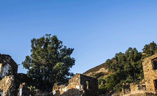 周易取名生辰八字測名打分