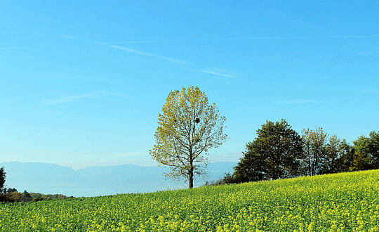 女生獨(dú)特不重復(fù)的名字