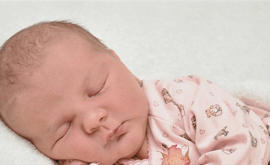 帶振字的男孩名字