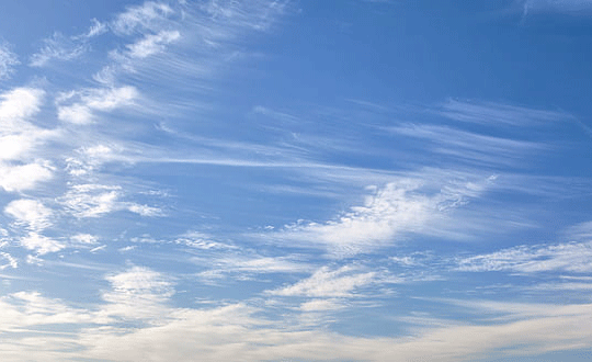 出自莊子的男孩名字