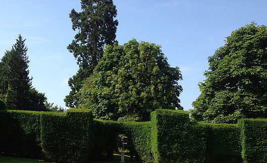 有內涵的小孩起名大全女孩:唯美洋氣