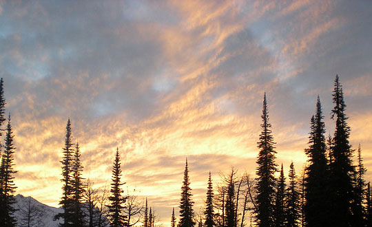 女孩名字聰明有涵養(yǎng) 女孩名字庫精選:經(jīng)典字推薦