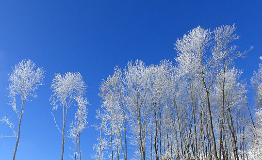 儒雅大氣的女孩名字 小女孩取名:好聽經典
