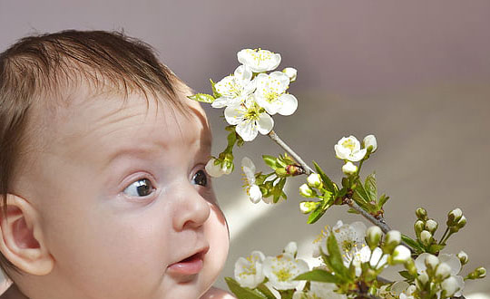 小孩取名大全女孩 四個字起名大全:起名思路和方式