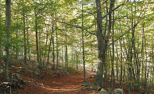 給寶寶取名字內(nèi)涵吉祥 男孩女孩起名大全:起名小思路