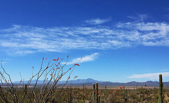 寶寶起名技巧 小孩起名大全免費取名字大全:起名小竅門