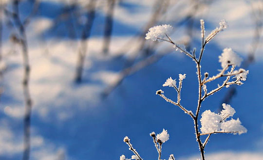 男孩子的名字 男孩取名大全:儒雅經(jīng)典