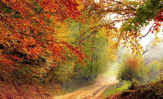 男孩子好聽(tīng)的名字,男孩取名字大全:智能高分有寓意的名字