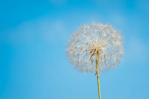 寶寶起名，賀姓二字特別吉利的名字女孩