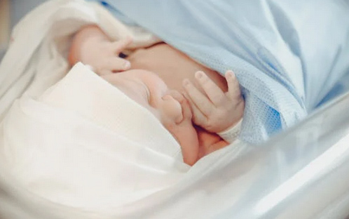 2025女孩起名,蛇年女孩子名字取名大全