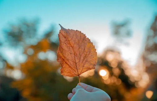 取名字大全:高端創意的健身房名字大全