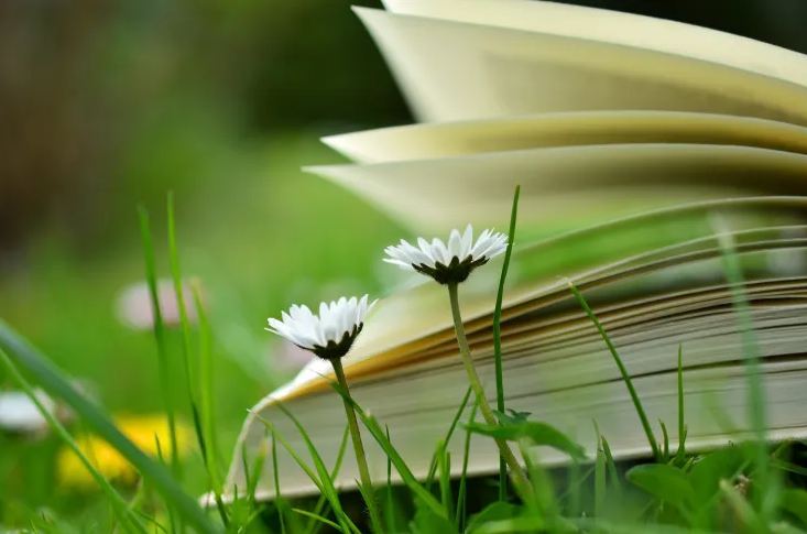 公司起名丨寓意好運(yùn)的公司名字