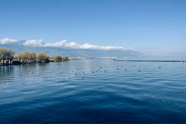 游戲起名丨無盡冬日游戲名字簡短霸氣