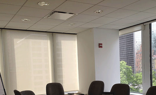 女龍寶寶取什么名字最好