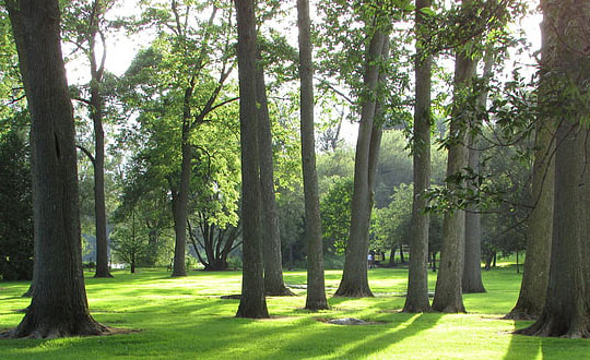 品牌名怎么起注意事項(xiàng)