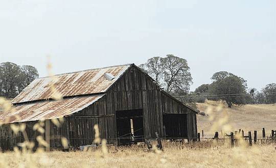 魏姓男孩名字大全屬兔 魏姓男孩名字獨一無二