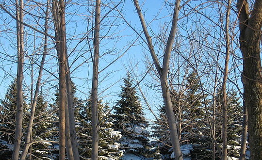 女孩取名字：知性優(yōu)雅、知性大方